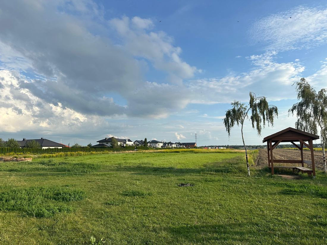 The open meadow beside the pond with a small wooden shelter, birch trees and new housing along the far edge.