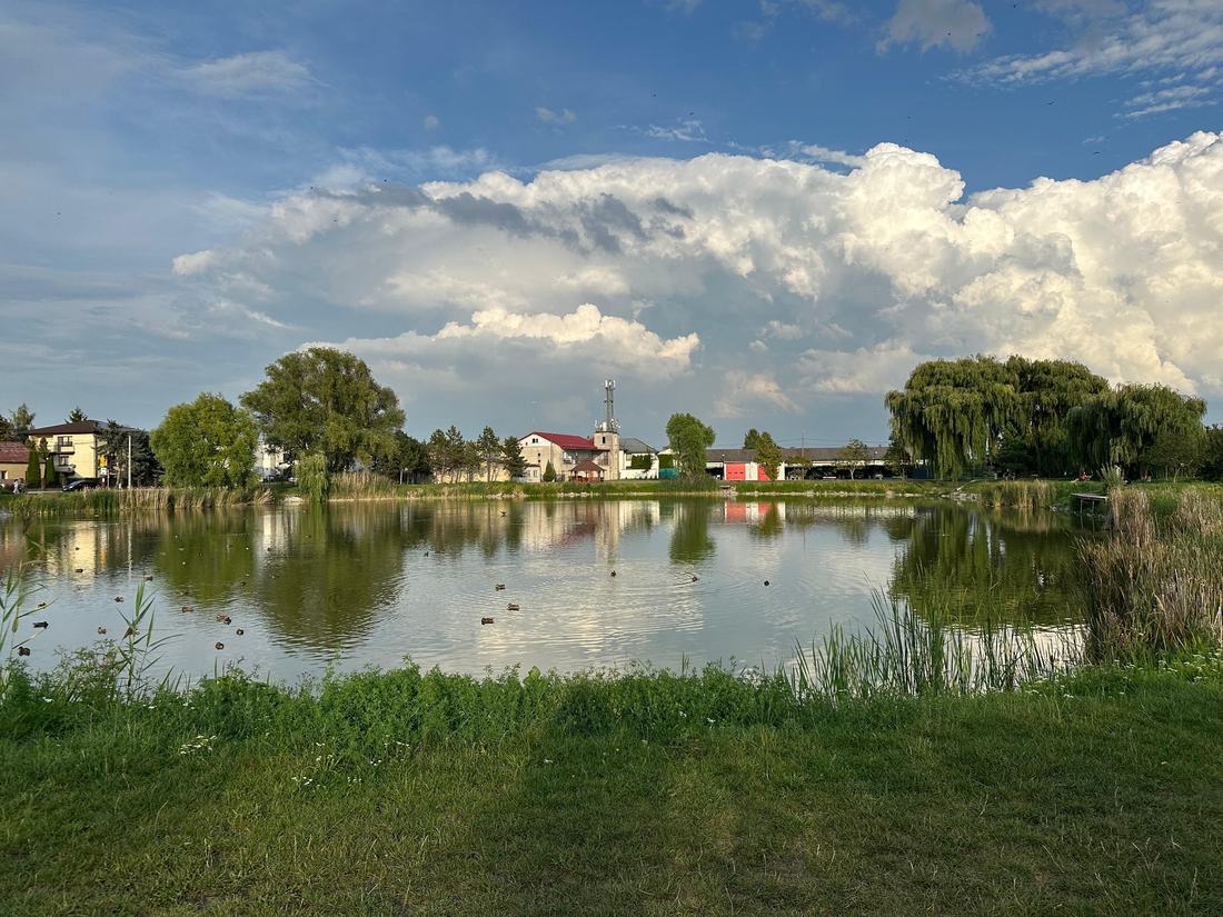 The pond at the centre of Nowa Wola on a summer evening, willows and reeds along the far bank, ducks on the water and village houses behind.